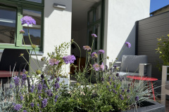 Terrasse-Graesergarten-1